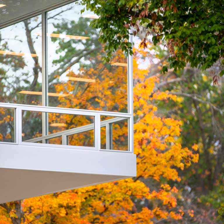 A corner of a white building with floor to ceiling glass windows against colorful green and yellow trees. 