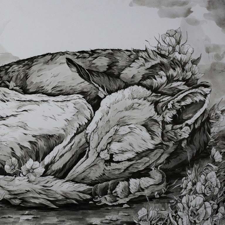 A black and white drawing of a wolf.